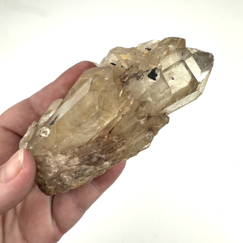 Congo Citrin klynge B 