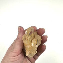 Congo Citrin klynge A 