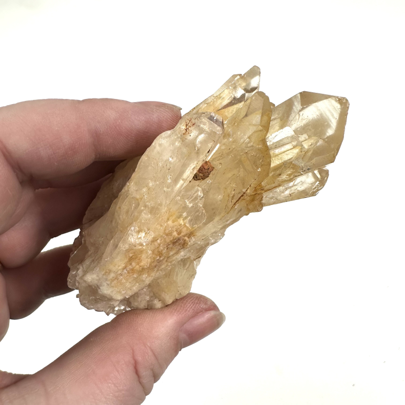 Congo Citrin klynge A 