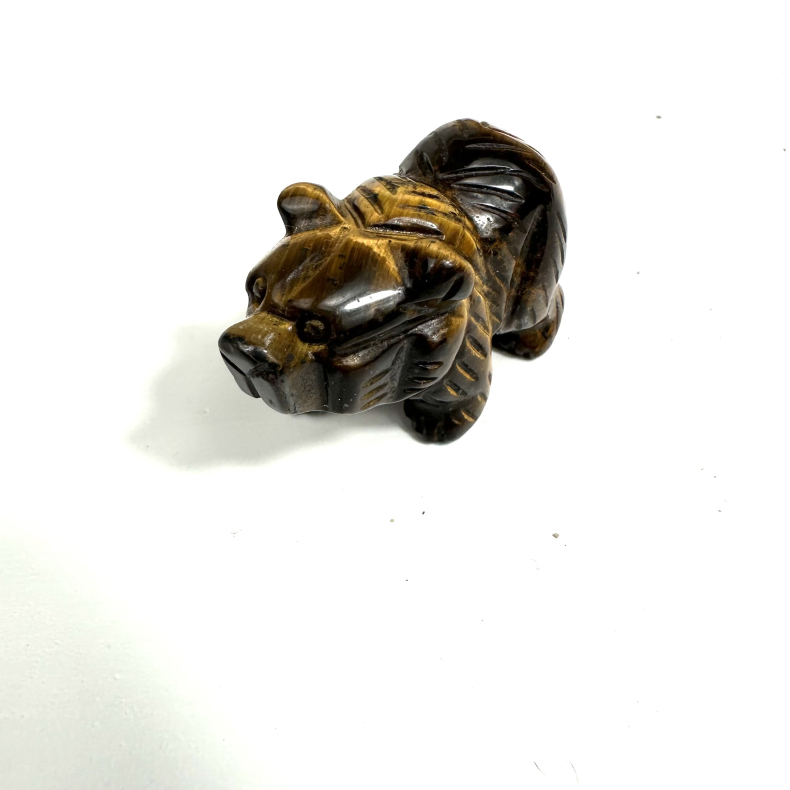 Tigerje Bjrn 