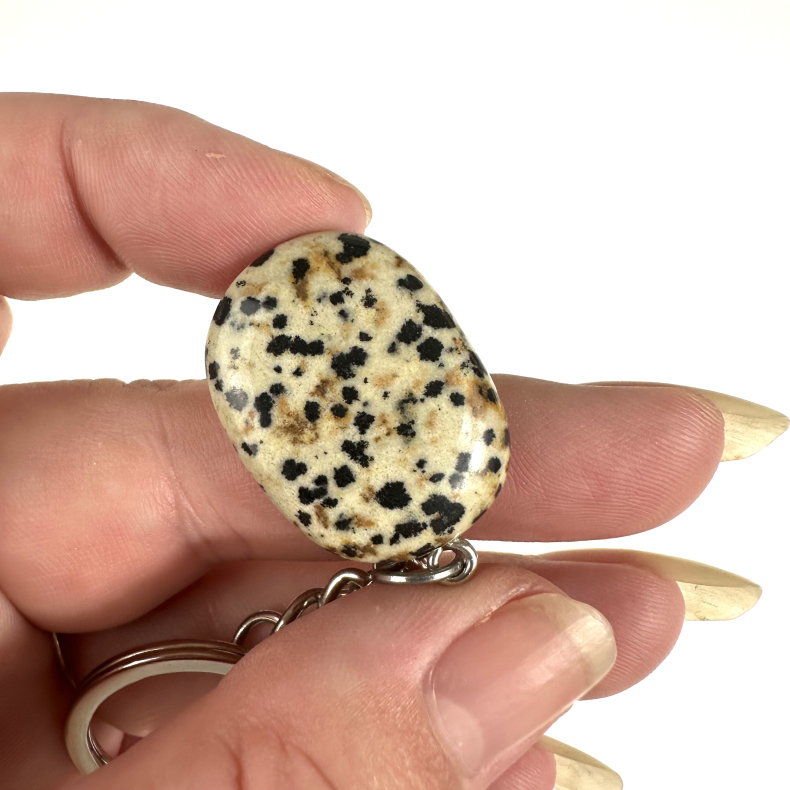 Nglering m. Dalmatiner jaspis 