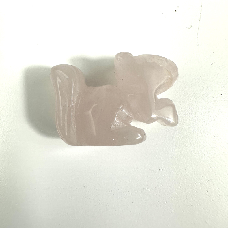 Rosakvarts lille egern 