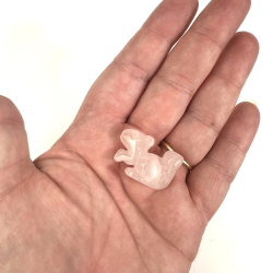 Rosakvarts lille egern 