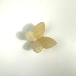 Gul Calcit sommerfugl 