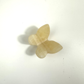 Gul Calcit sommerfugl 