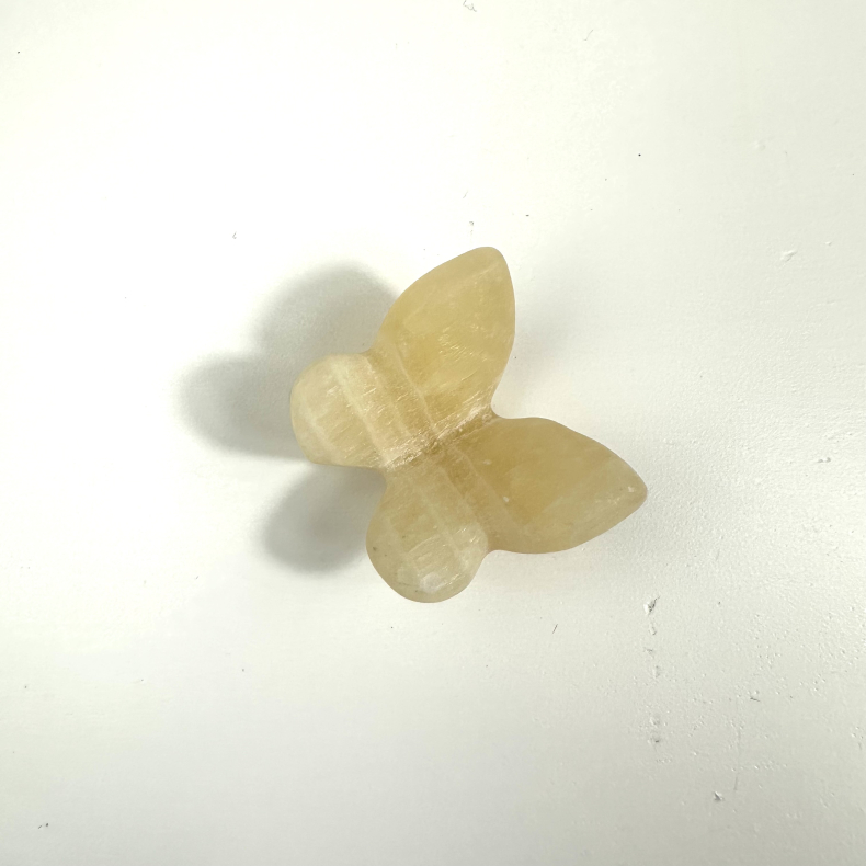 Gul Calcit sommerfugl 