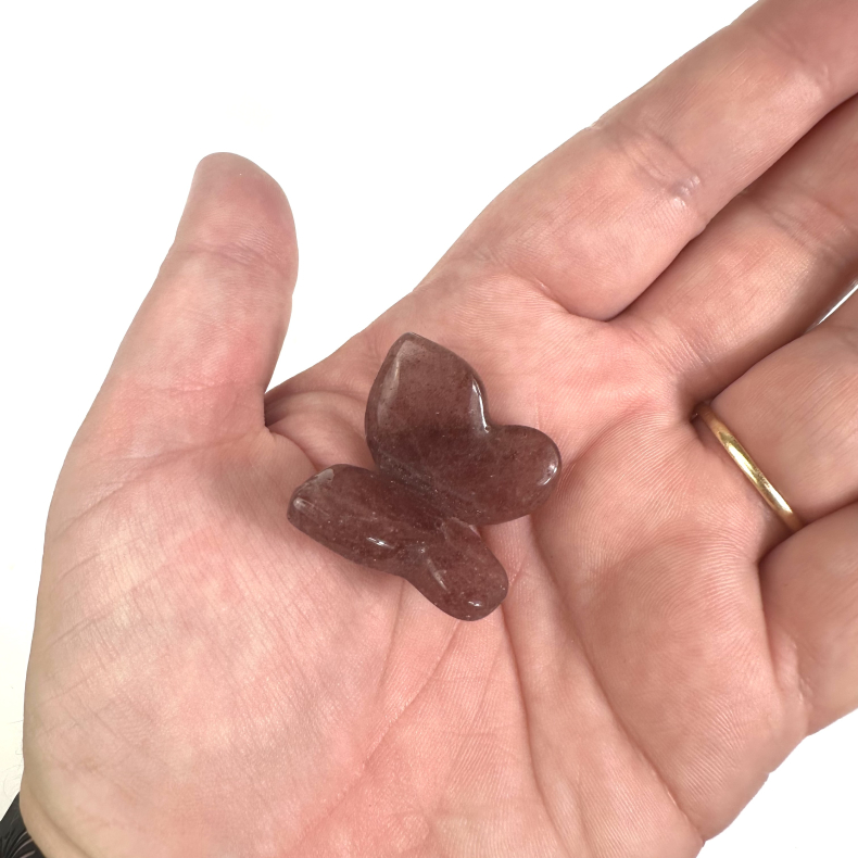 Jordbrkvarts sommerfugl 