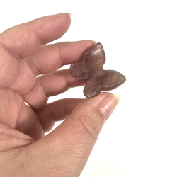 Jordbrkvarts sommerfugl 