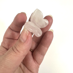 Rosakvarts sommerfugl 