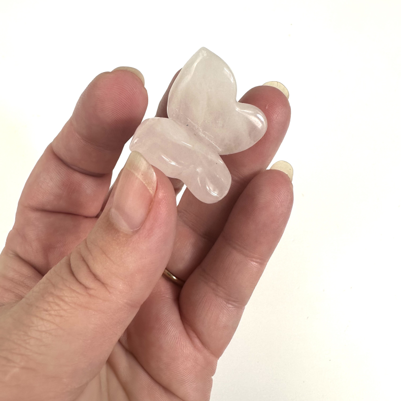 Rosakvarts sommerfugl 