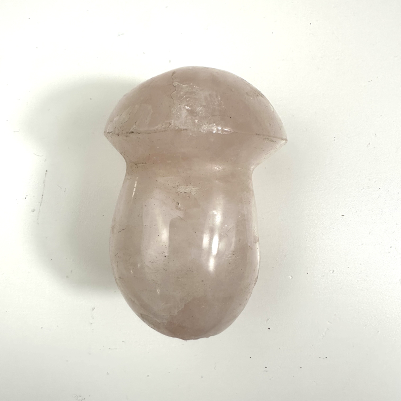 Rosakvarts svamp mellem 