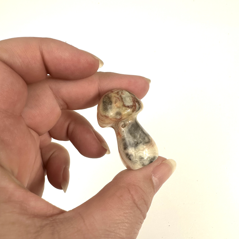 Natur Agat svamp lille 