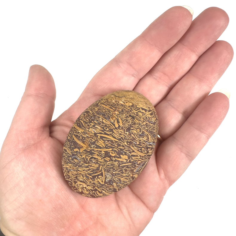 Elefant Jaspis Palmstone 