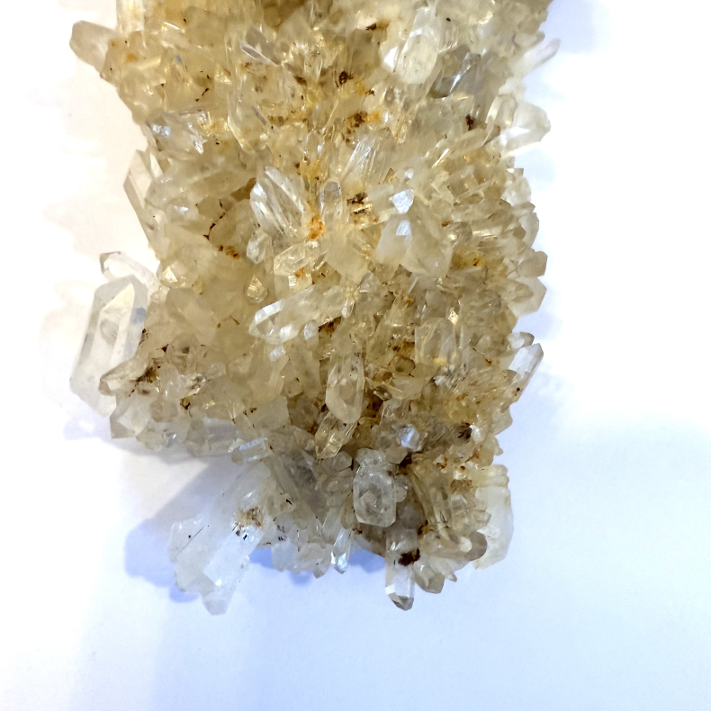 Golden healer klynge B 