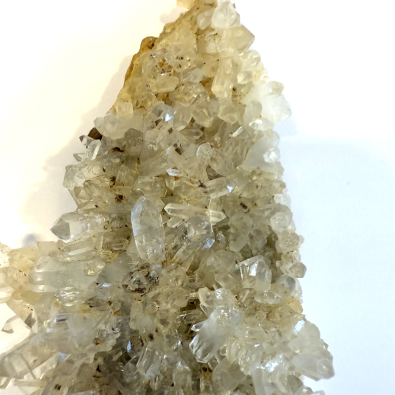 Golden healer klynge B 