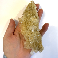 Golden healer klynge B 