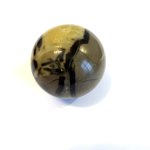 Septarie kugler asos 