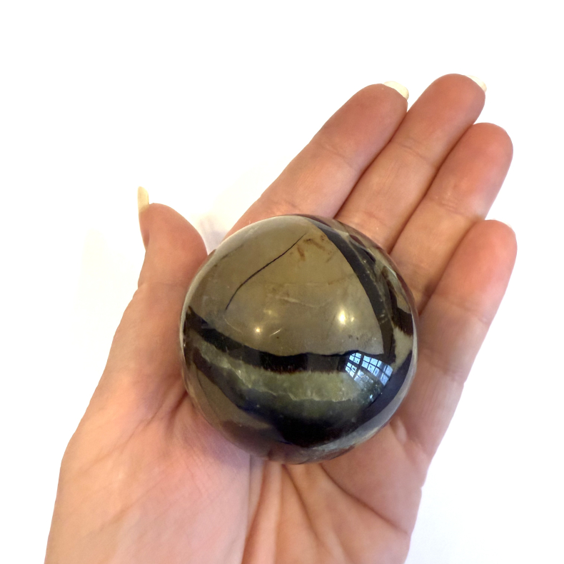 Septarie kugler asos 