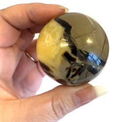 Septarie kugler asos 