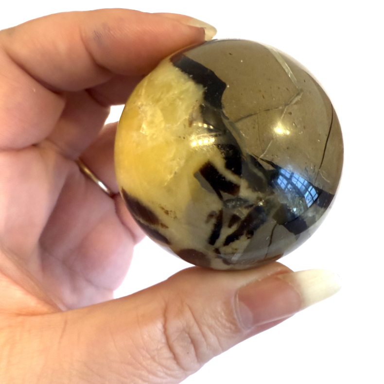 Septarie kugler asos 