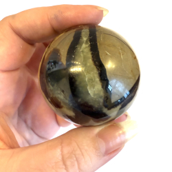 Septarie kugler asos 