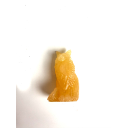 Orange Calcit Mani coon kat 