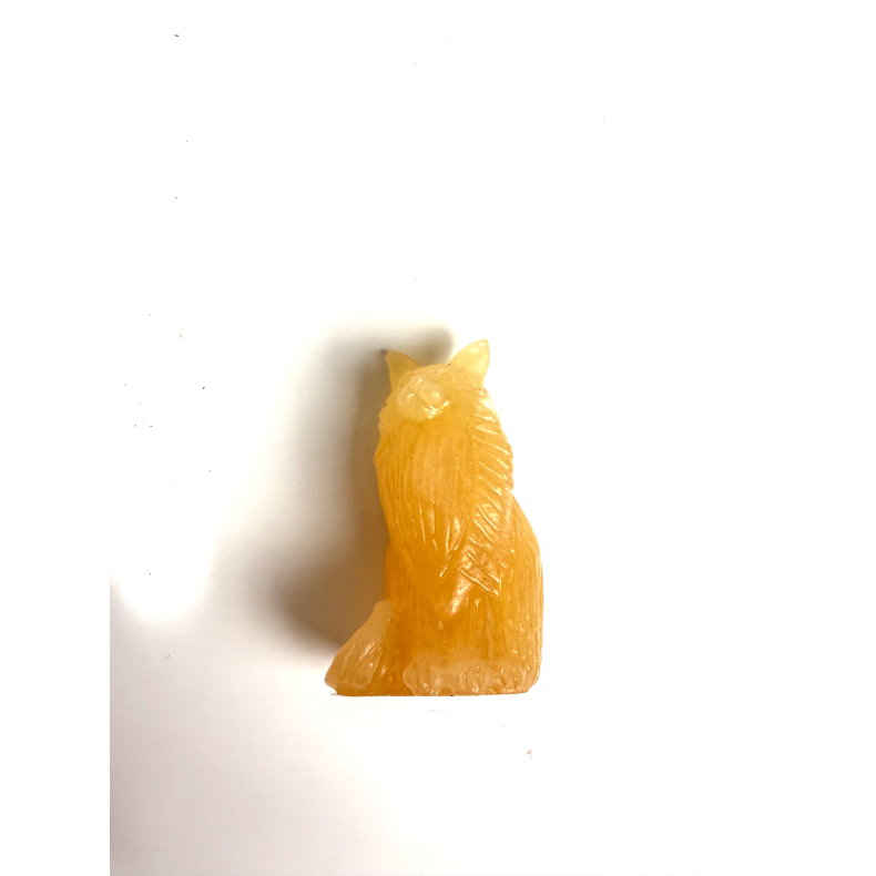 Orange Calcit Mani coon kat 