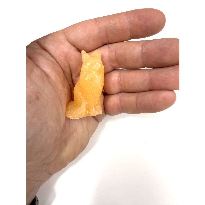 Orange Calcit Mani coon kat 