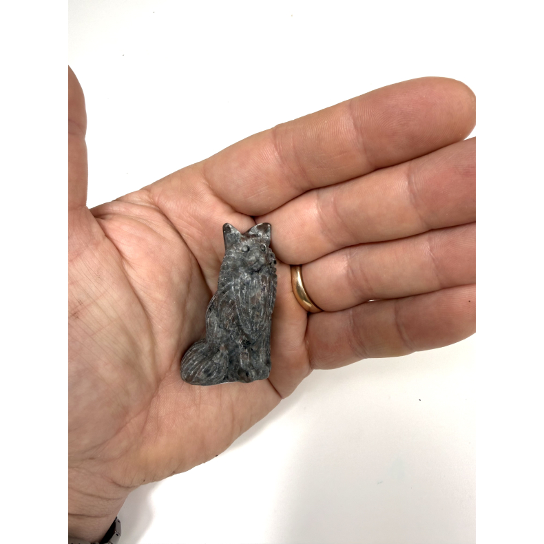 Yooperlite main coon kat 