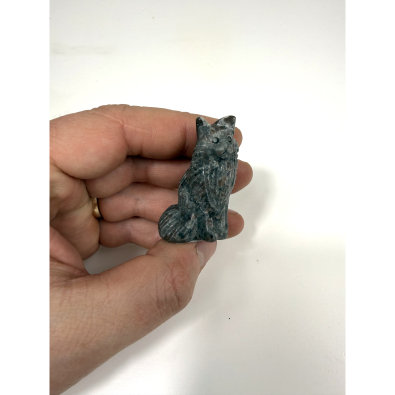 Yooperlite main coon kat 