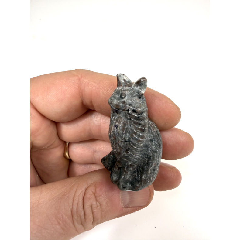 Yooperlite main coon kat 