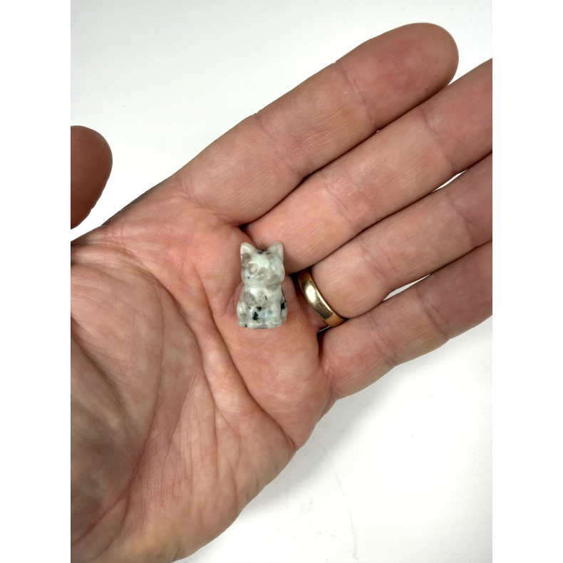 Kiwi Jaspis kattekilling 