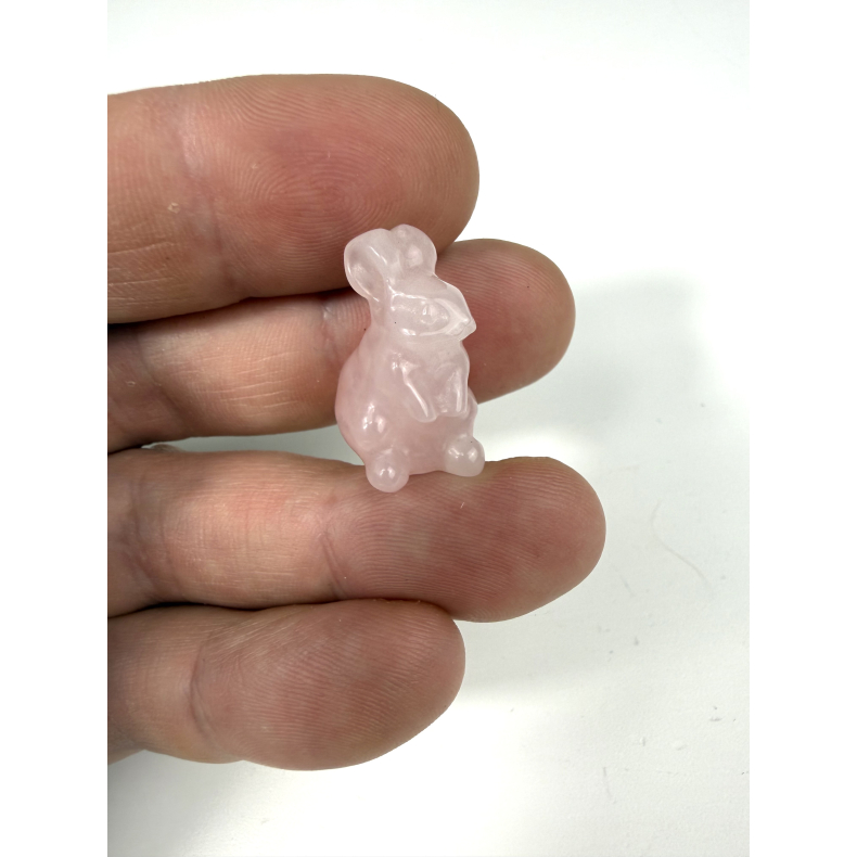 Rosakvarts kaninunge 