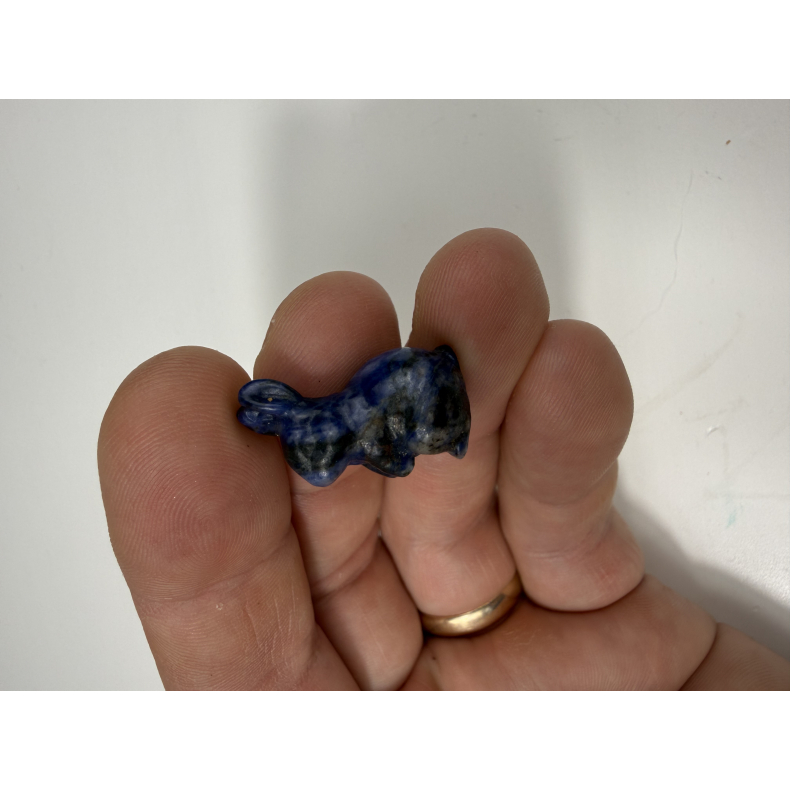 Lapis lazuli kaninunge 