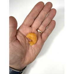 Orange Calcit delfin 