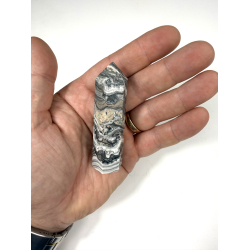 Zebra Calcit T�rn A 