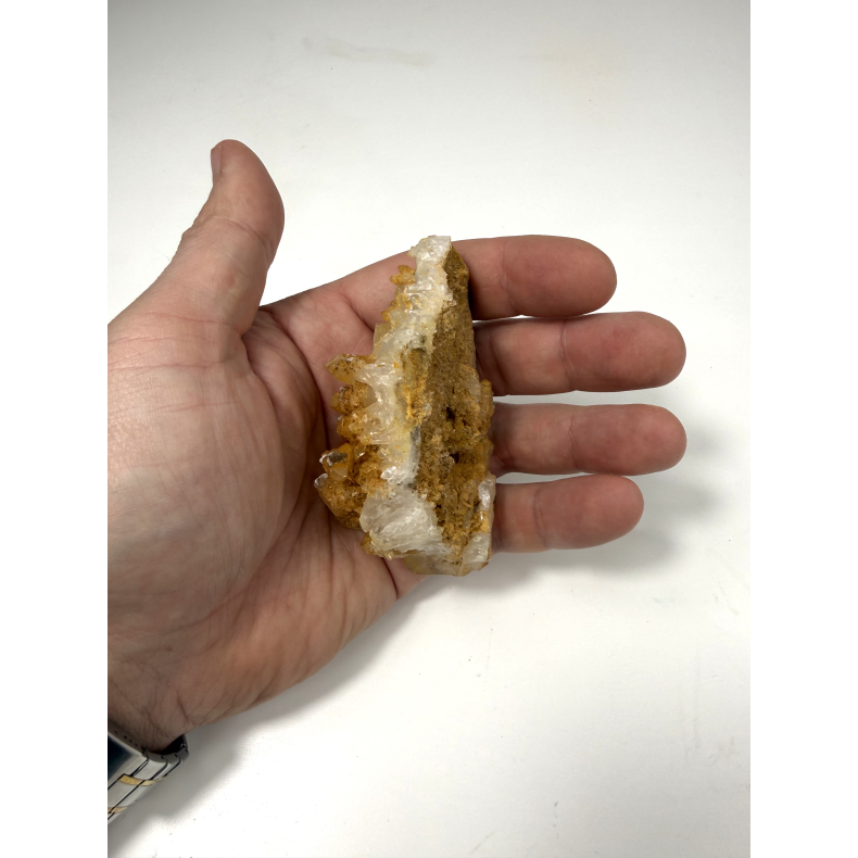 Golden Healer klynge C