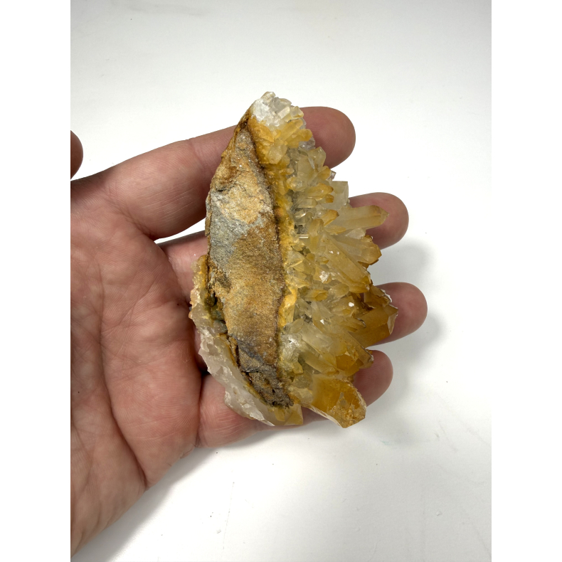 Golden Healer klynge C