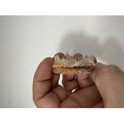 Hundetands Calcit klynger sm� 