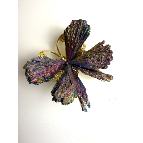 Heksesten sommerfugl 