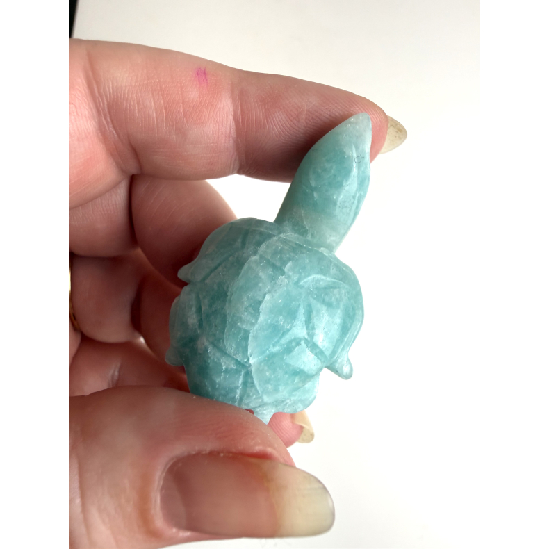 Amazonit skilpadde m. Lang hals 