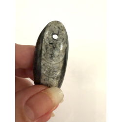 Ortoceratit Vedh�ng 