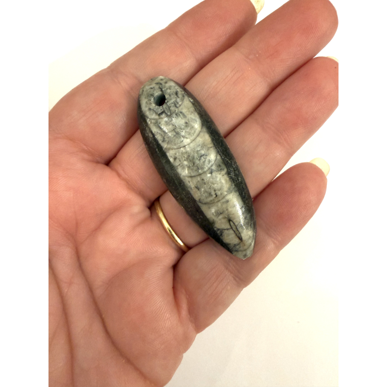 Ortoceratit Vedh�ng 