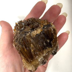 Brun Aragonit klynge asos 