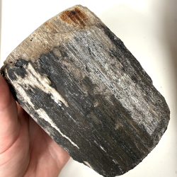 Forstenet tr� lysestage 