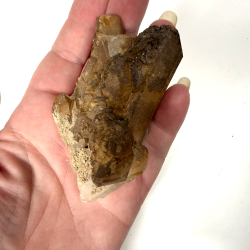 Golden Healer klynge K 