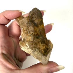 Golden Healer klynge K 