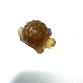 Gul Fluorit skilpadde 