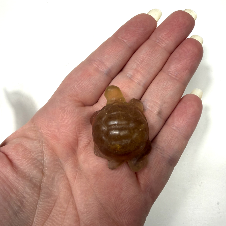 Gul Fluorit skilpadde 