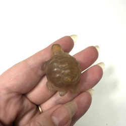 Gul Fluorit skilpadde 